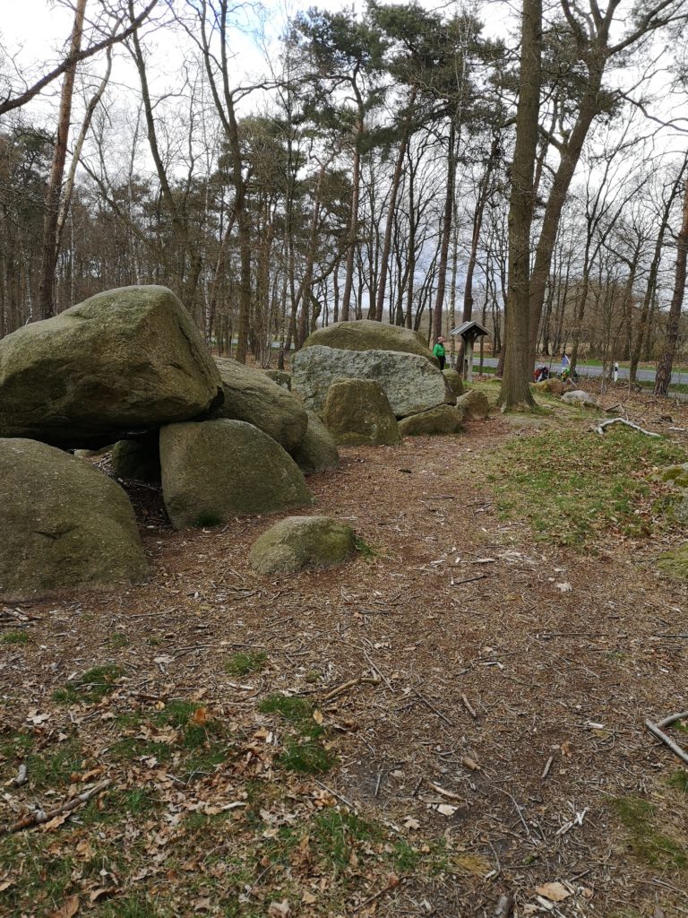 Hühnengrab am Wegesrand