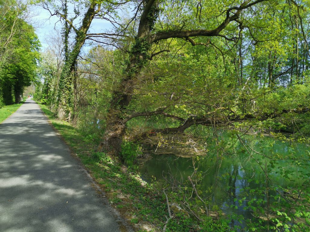 Rhein-Rhone-Kanal mit begleitendem Radweg