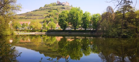 Landschaftsbild bei Neuenburg am Rhein.